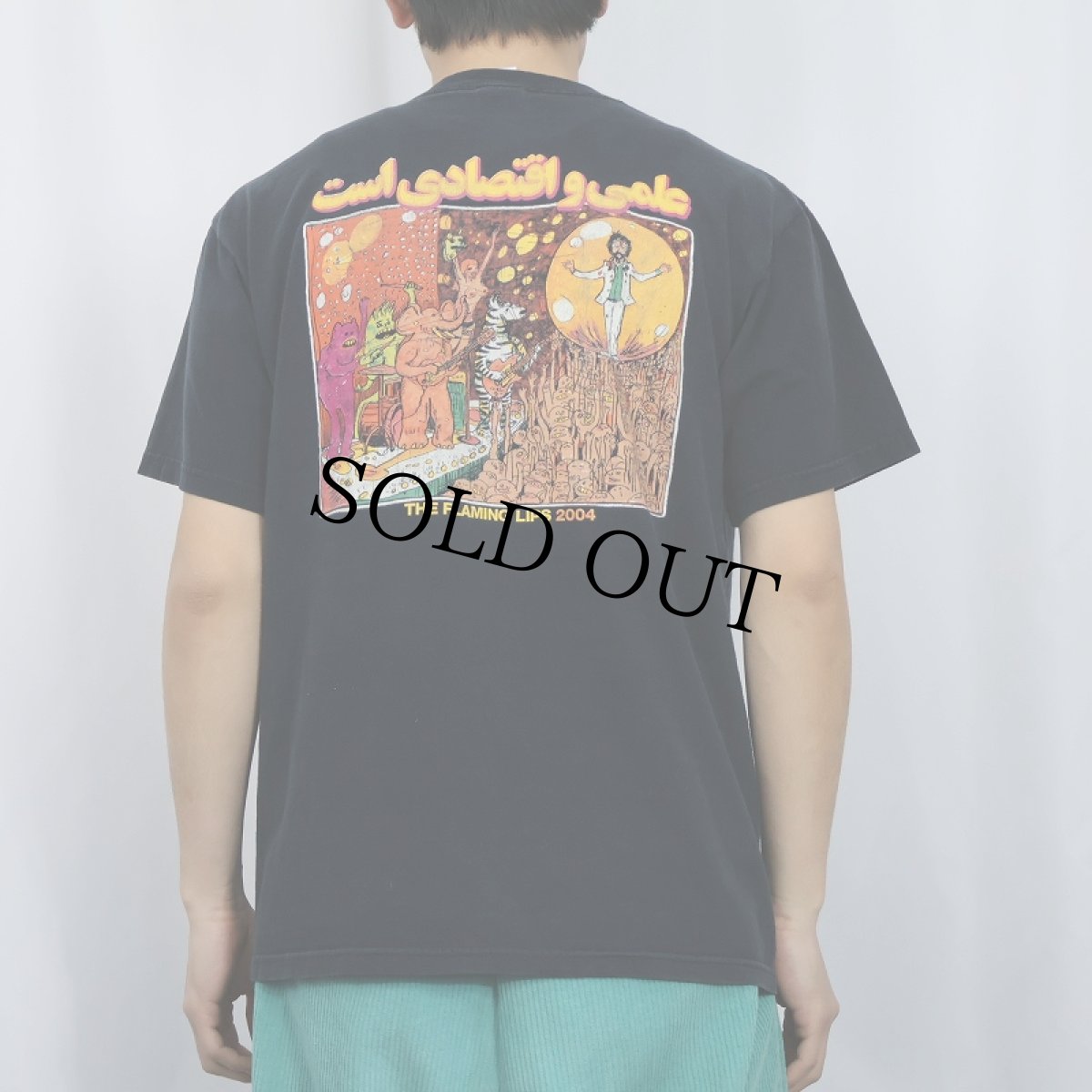 画像4: 2004 The Flaming Lips ロックバンドプリントTシャツ BLACK M (4)