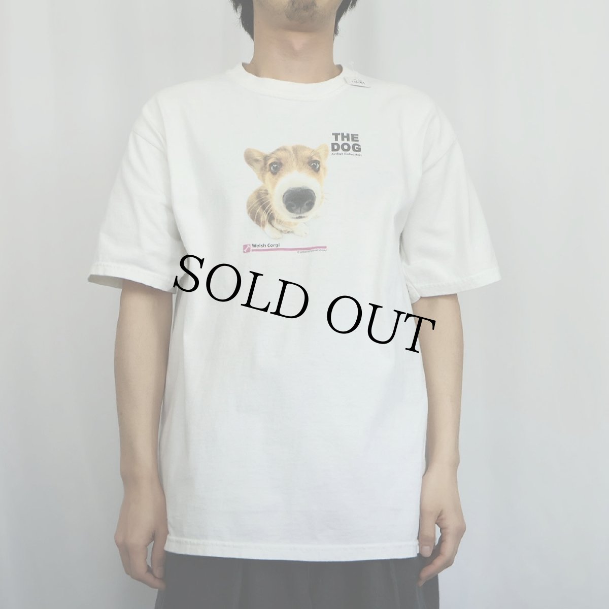 画像2: THE DOG Artlist Collection "Welsh Corgi" 犬プリントTシャツ L (2)