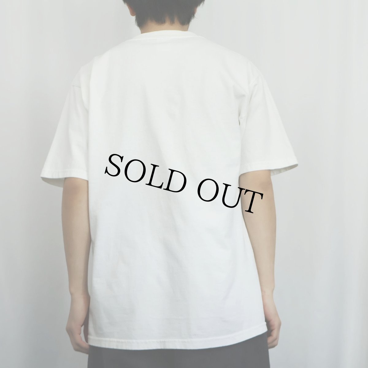 画像3: THE DOG Artlist Collection "Welsh Corgi" 犬プリントTシャツ L (3)