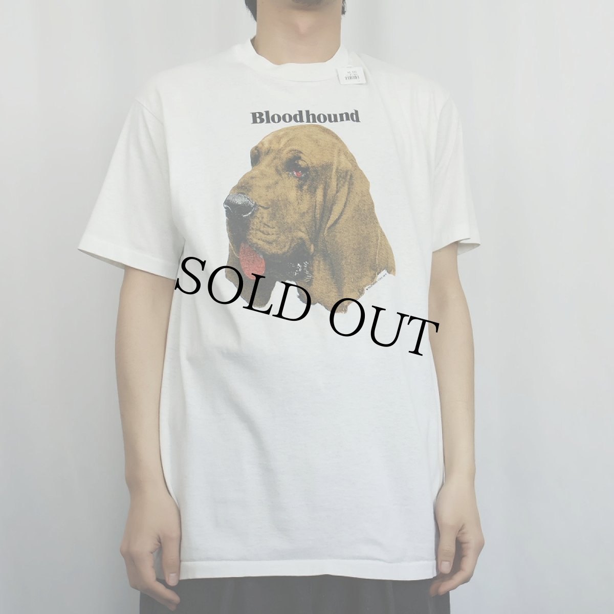 画像2: 90's USA製 "Bloodhound" 犬プリントTシャツ L (2)