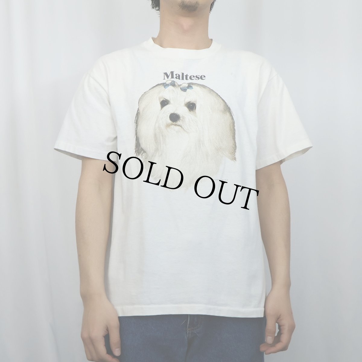 画像2: 90's USA製 "Maltese" 犬プリントTシャツ M (2)