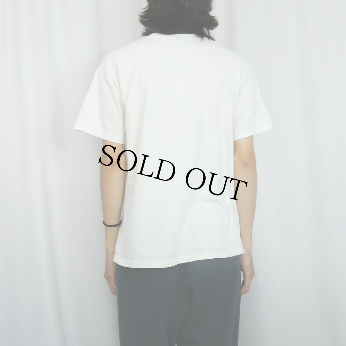画像3: 2000's Glenn Beck's Rally for America パロディプリントTシャツ M (3)