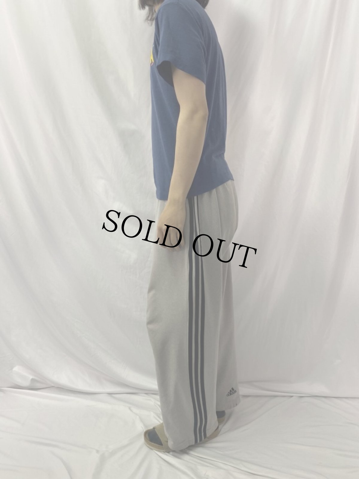 画像3: 90's WWF Hulk Hogan "HULKAMANIA" USA製 プロレスTシャツ M (3)