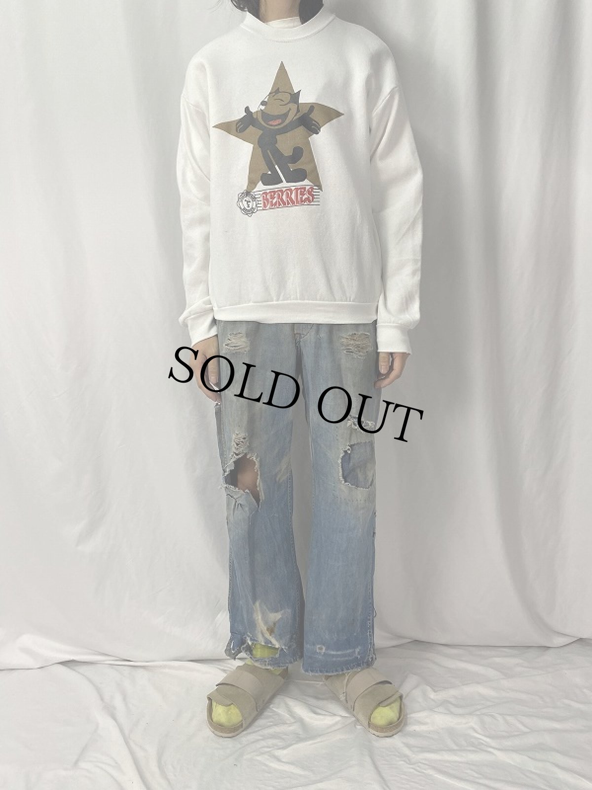 画像2: 90's FELIX USA製 "LOGANSPORT BERRIES" キャラクタースウェット L (2)