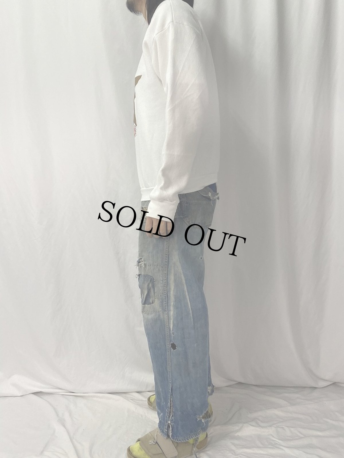 画像3: 90's FELIX USA製 "LOGANSPORT BERRIES" キャラクタースウェット L (3)