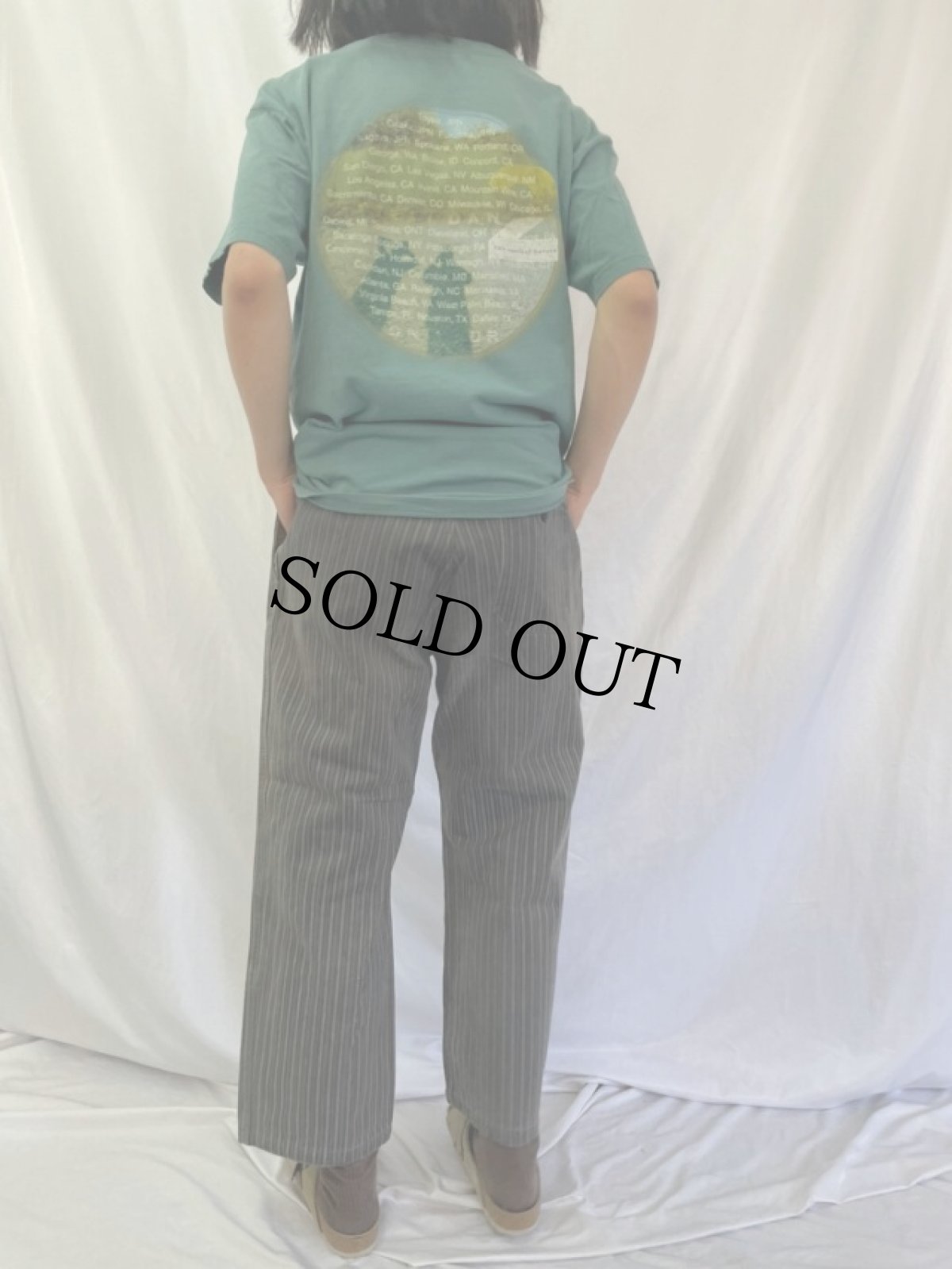 画像4: 40〜50's DUMONT D'URVILLE ストライプ柄 ワークパンツ W36 (4)