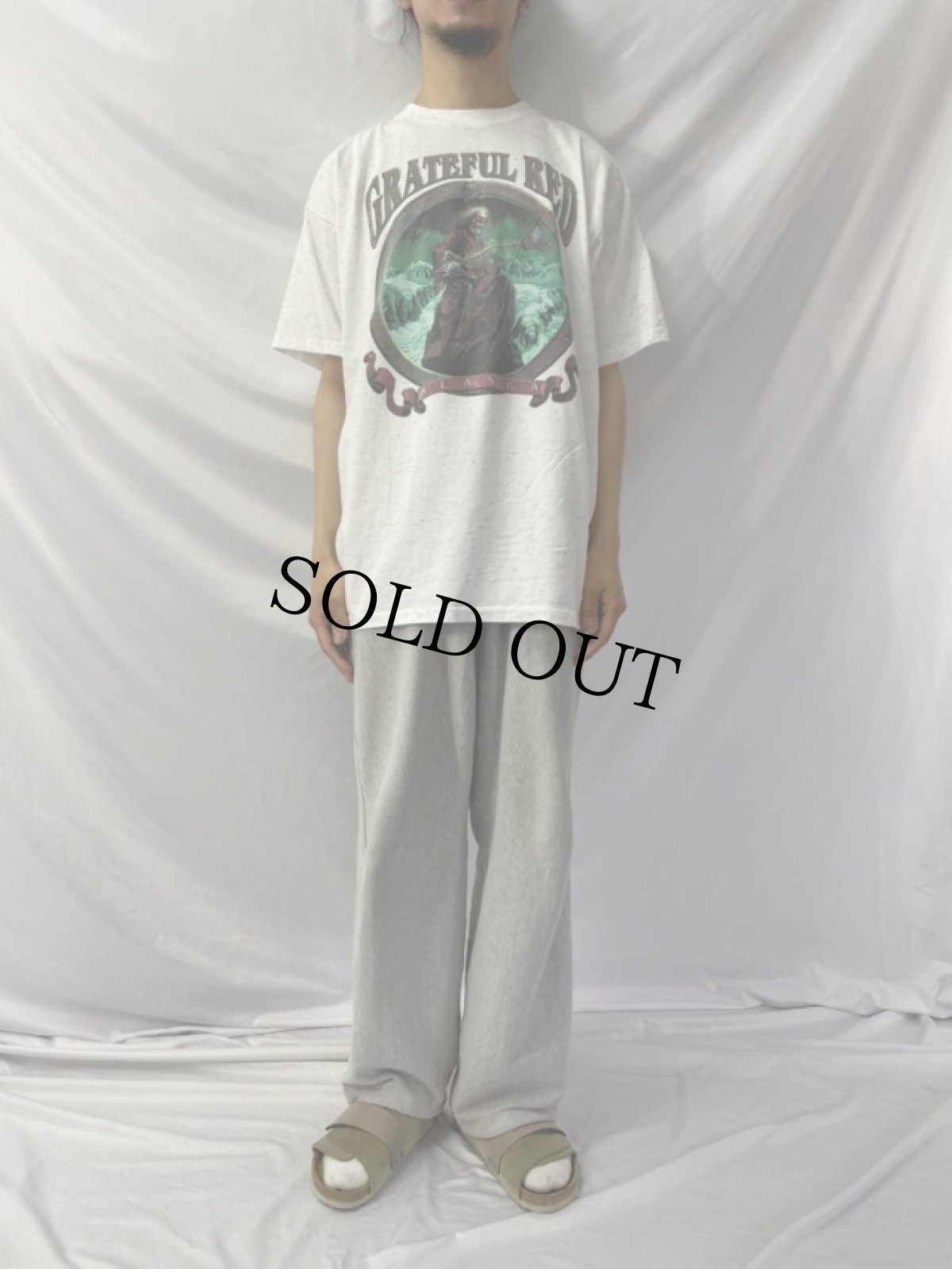 画像2: 90's GRATEFUL RED ALASKA パロディTシャツ XL (2)