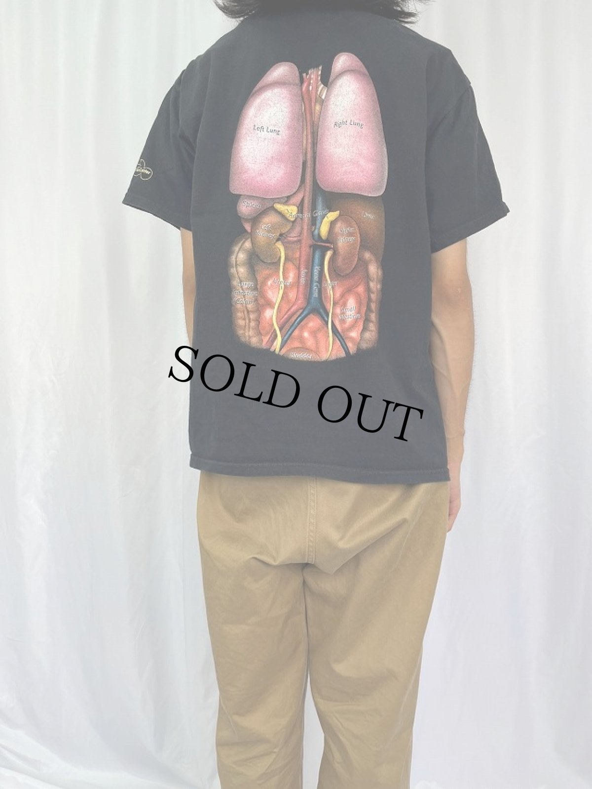 画像4: 臓器イラストTシャツ L (4)
