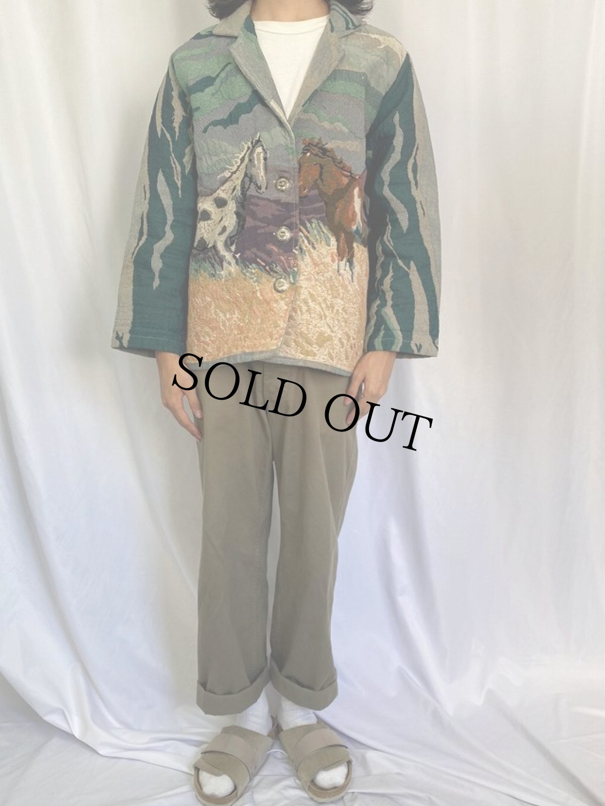 画像2: DON'T MESS WITH TEXAS 馬柄 ゴブラン織り ジャケット L (2)