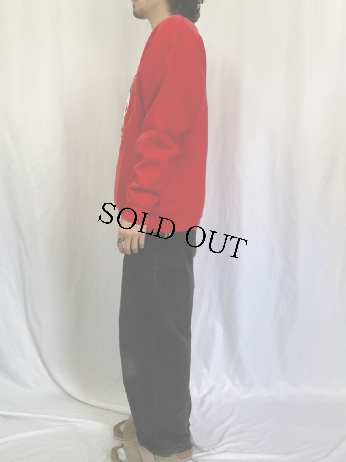 画像3: 90's FELIX USA製 "LOGANSPORT BERRIES" キャラクタースウェット XL (3)