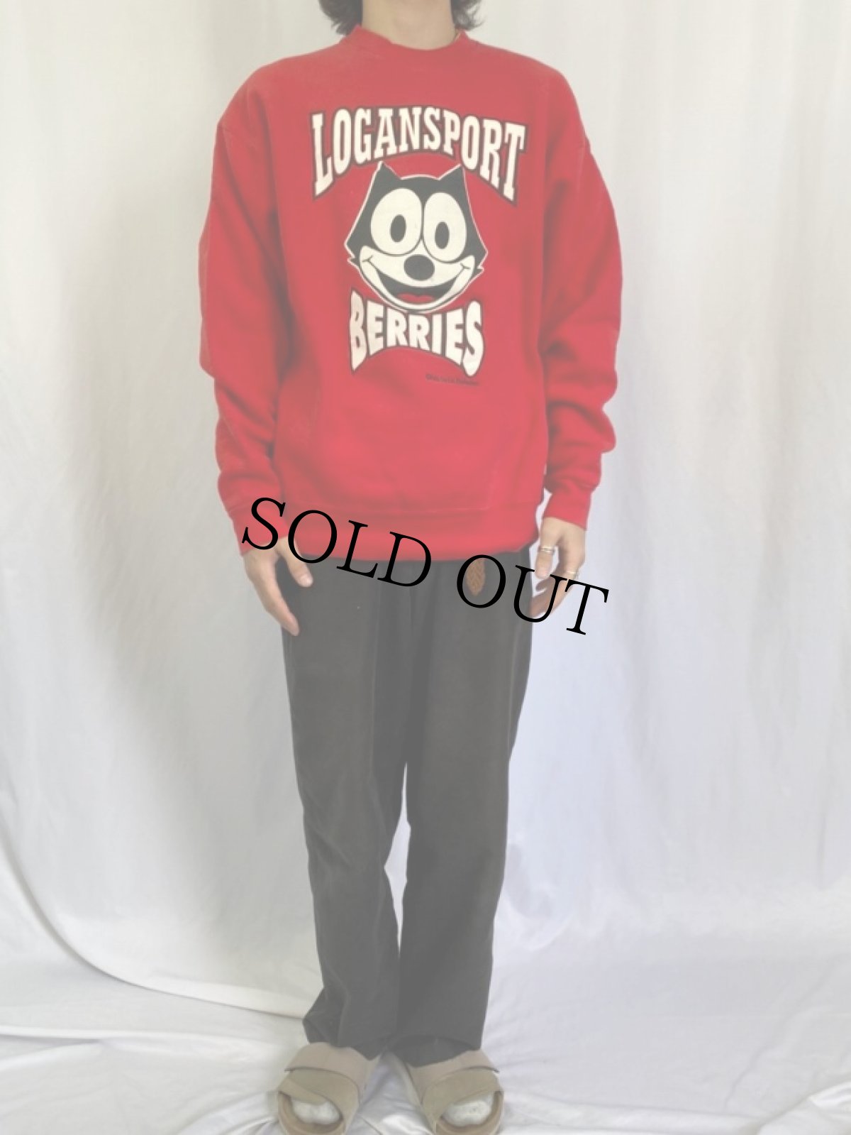 画像2: 90's FELIX USA製 "LOGANSPORT BERRIES" キャラクタースウェット XL (2)