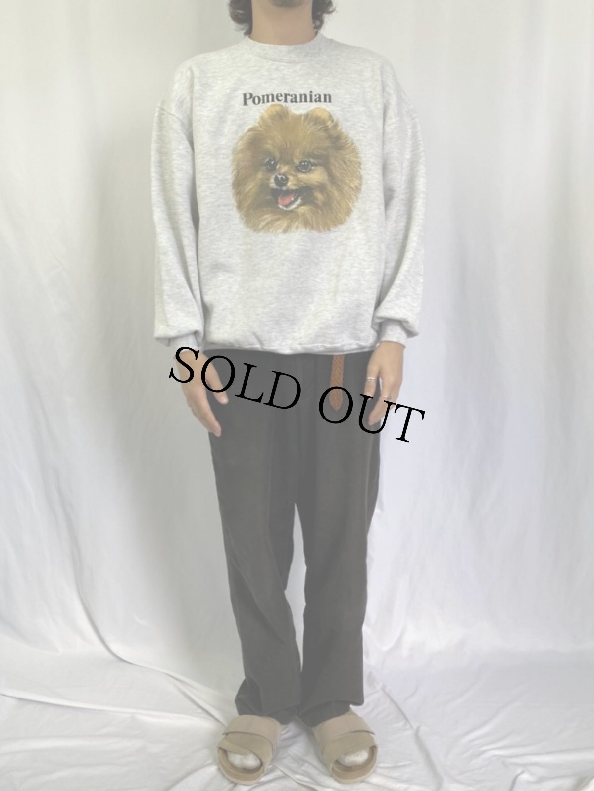 画像2: 90's USA製 "Pomeranian" 犬プリントスウェット XL (2)