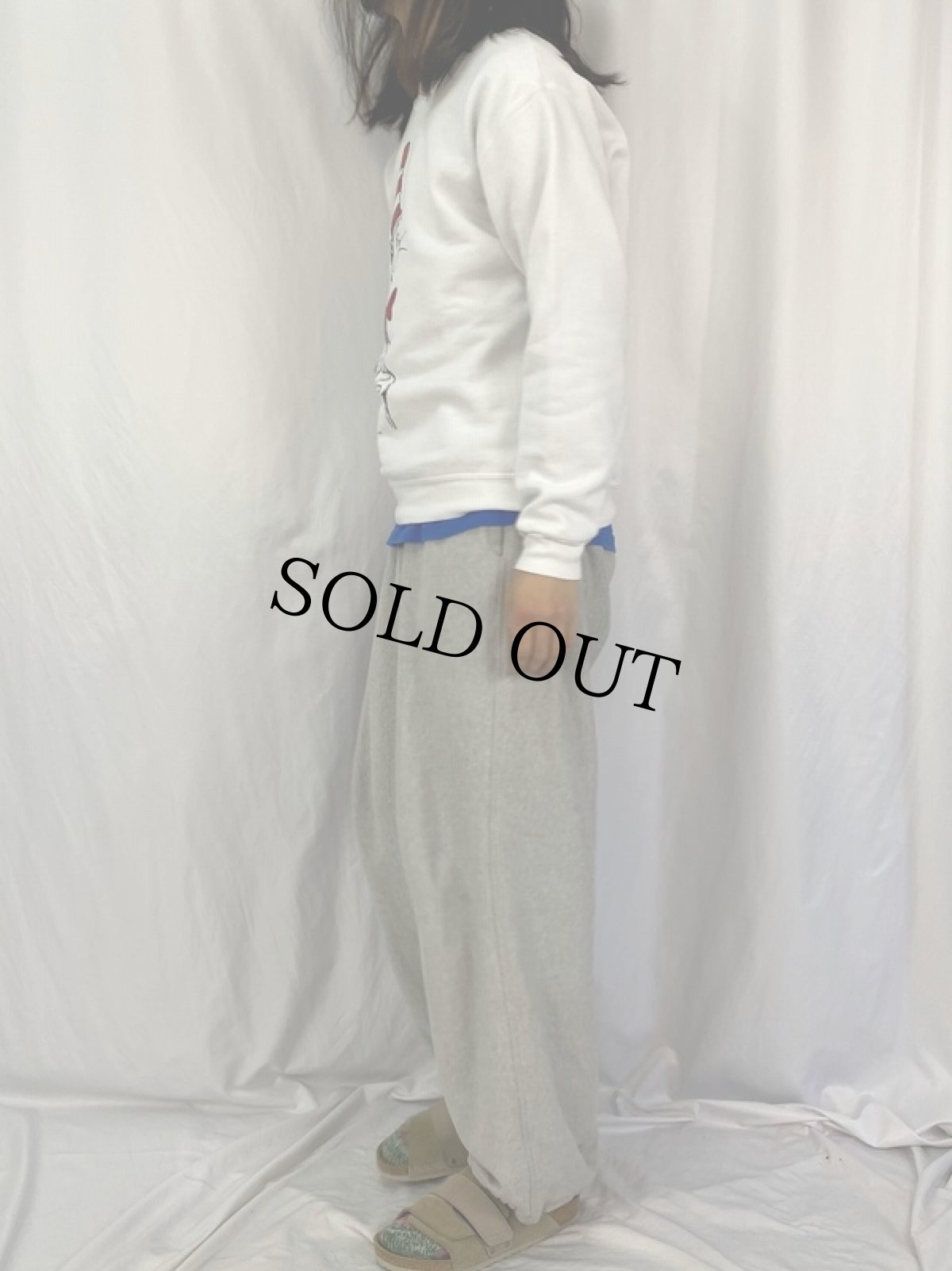 画像3: 90's Dr,Seuss THE CAT IN THE HAT USA製 キャラクタースウェット  (3)