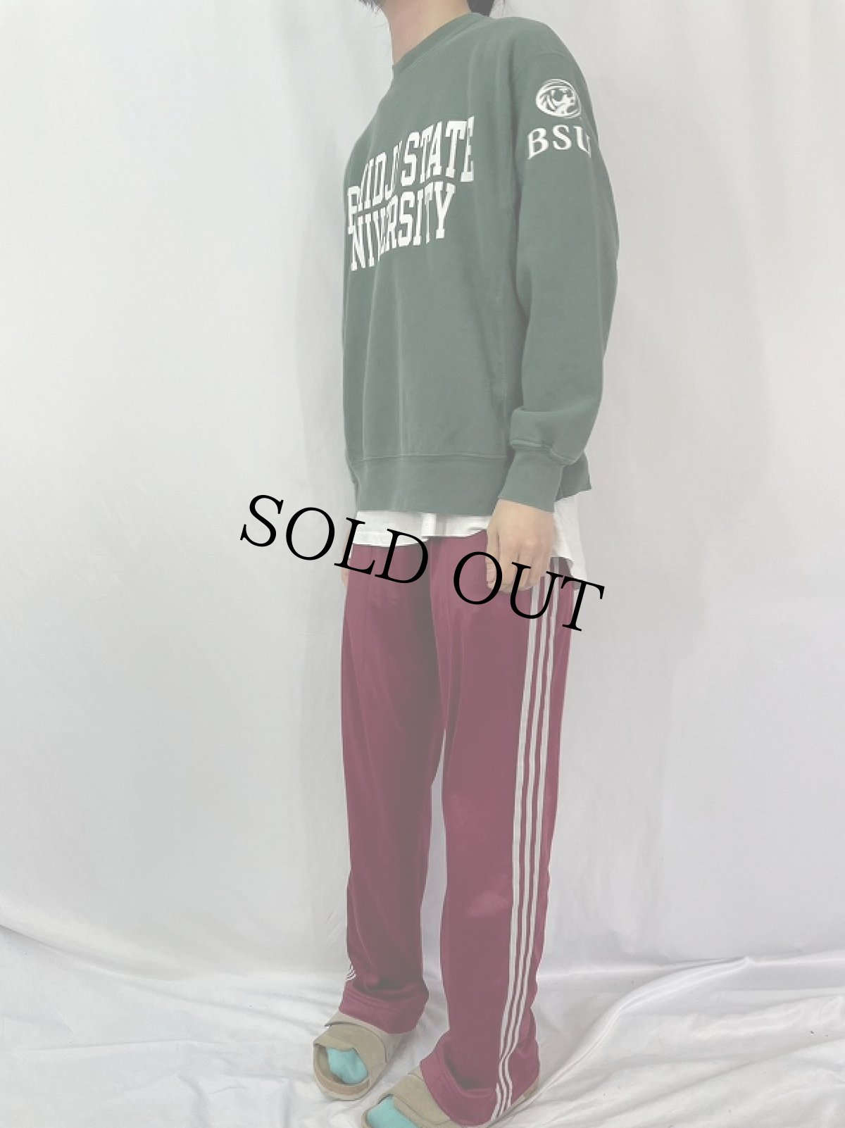 画像3: Champion REVERSE WEAVE "BEMIDJI STATE UNIVERSITY" スウェット M (3)