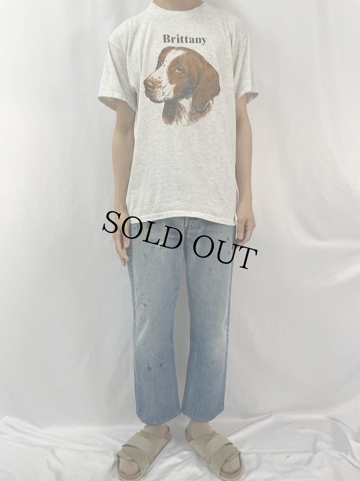 画像2: 90's "Brittany" 犬イラストTシャツ L (2)