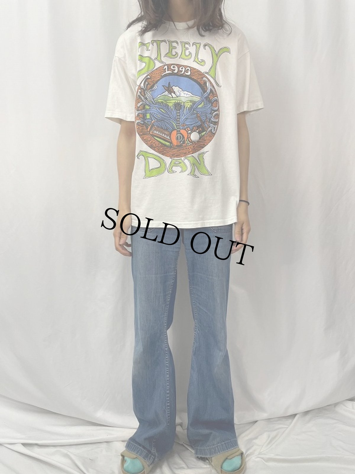 画像3: 1993 STEELY DAN ロックバンドツアーTシャツ L (3)