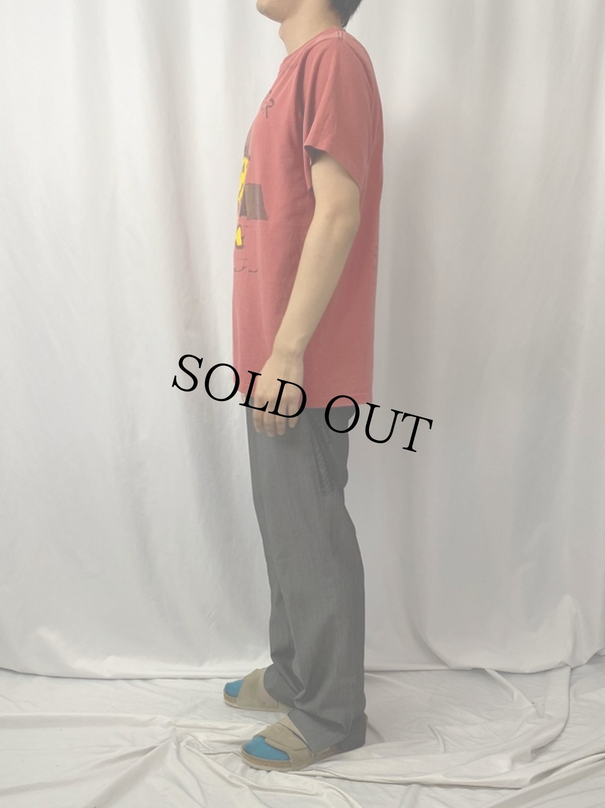 画像4: 90's PEANUTS USA製 "WOODSTOCK × PIGPEN" キャラクタープリントTシャツ (4)