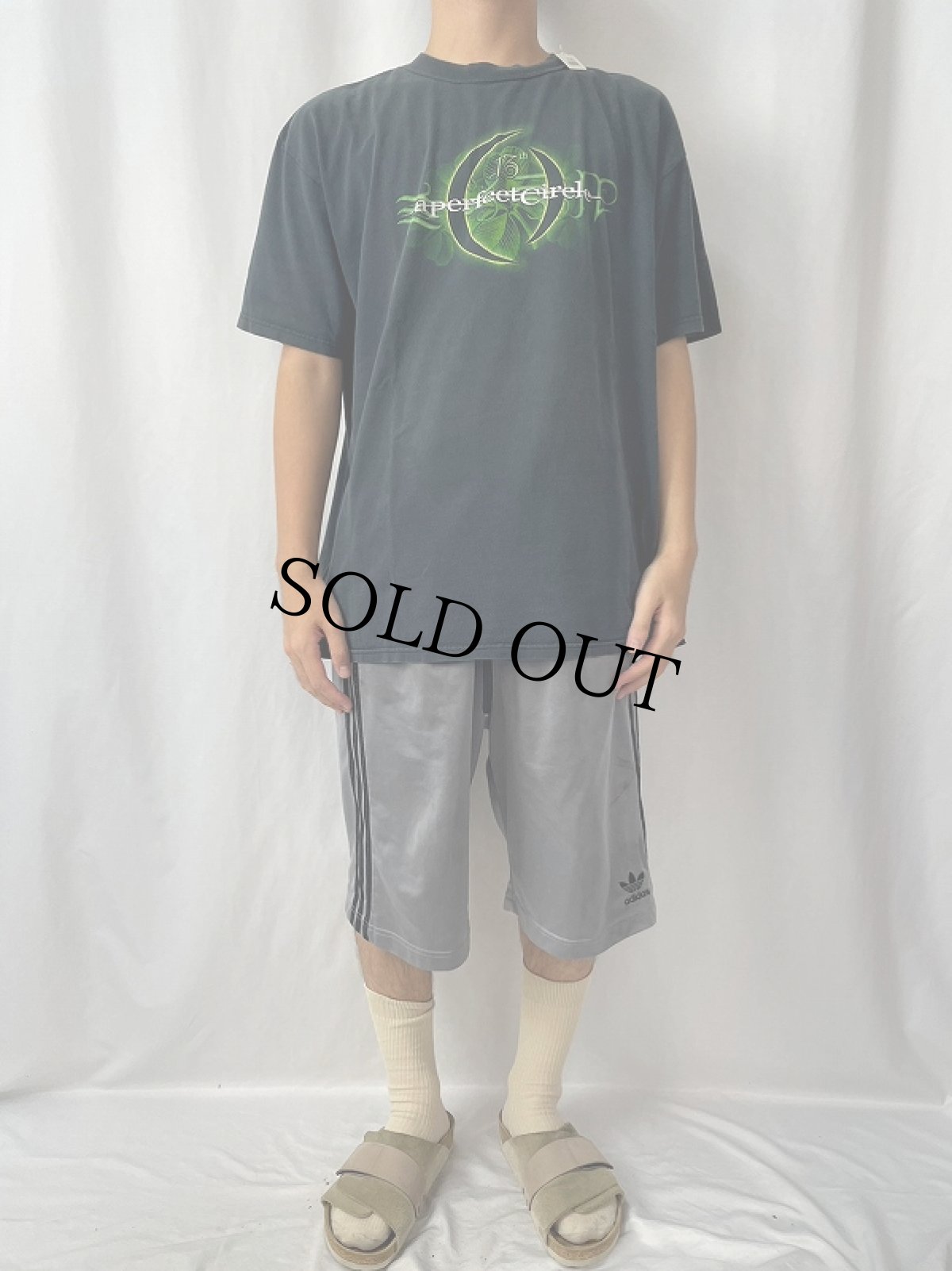 画像2: 2000's A Perfect Circle ロックバンドTシャツ BLACK XL (2)