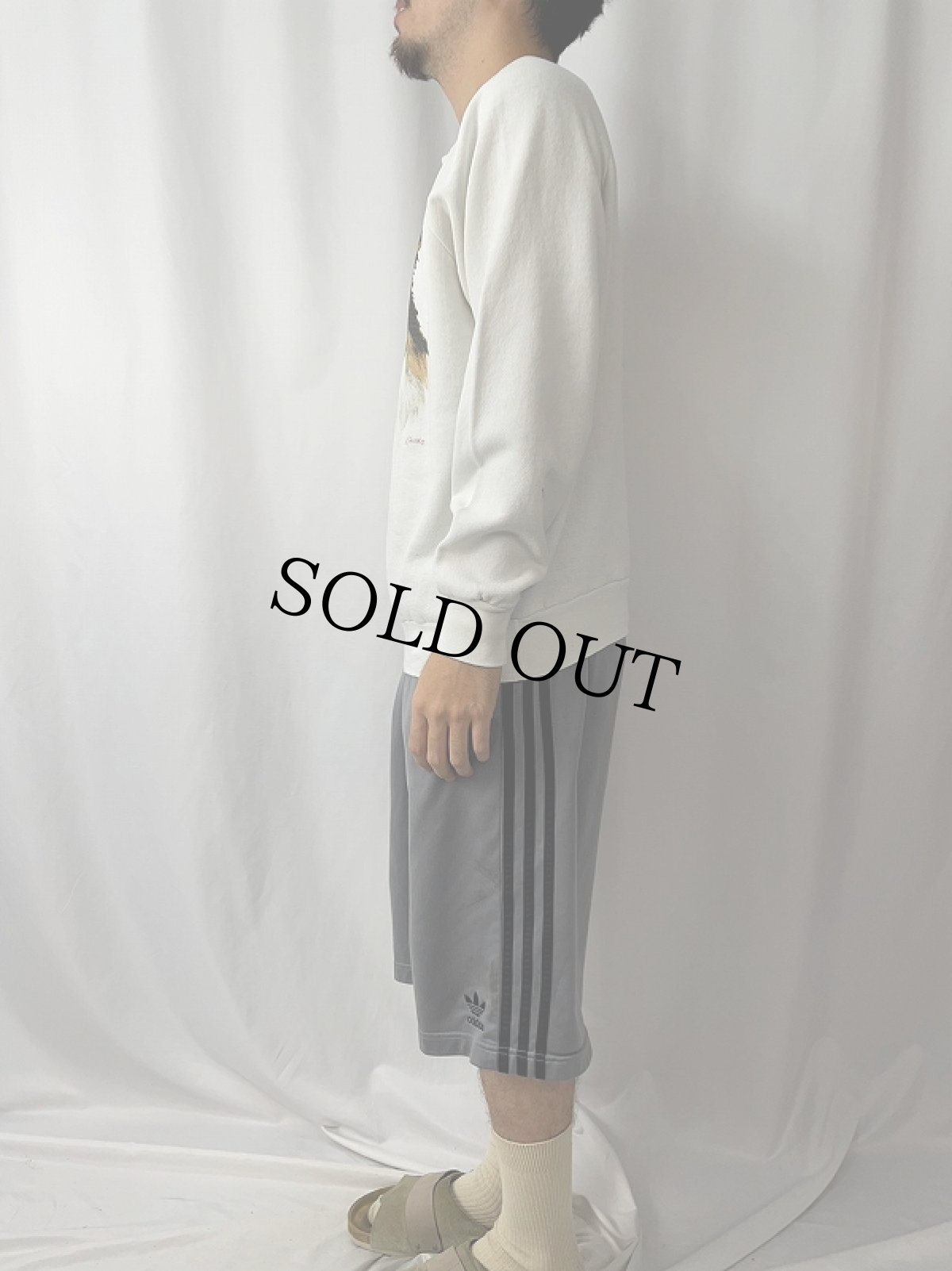 画像3: 90's USA製 犬プリントラグランスウェット L (3)