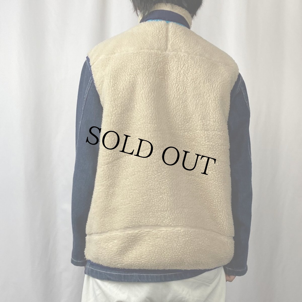 画像3: 2013AW Patagonia レトロXフリースベスト (3)