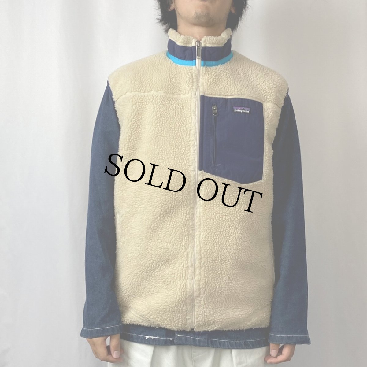 画像2: 2013AW Patagonia レトロXフリースベスト (2)