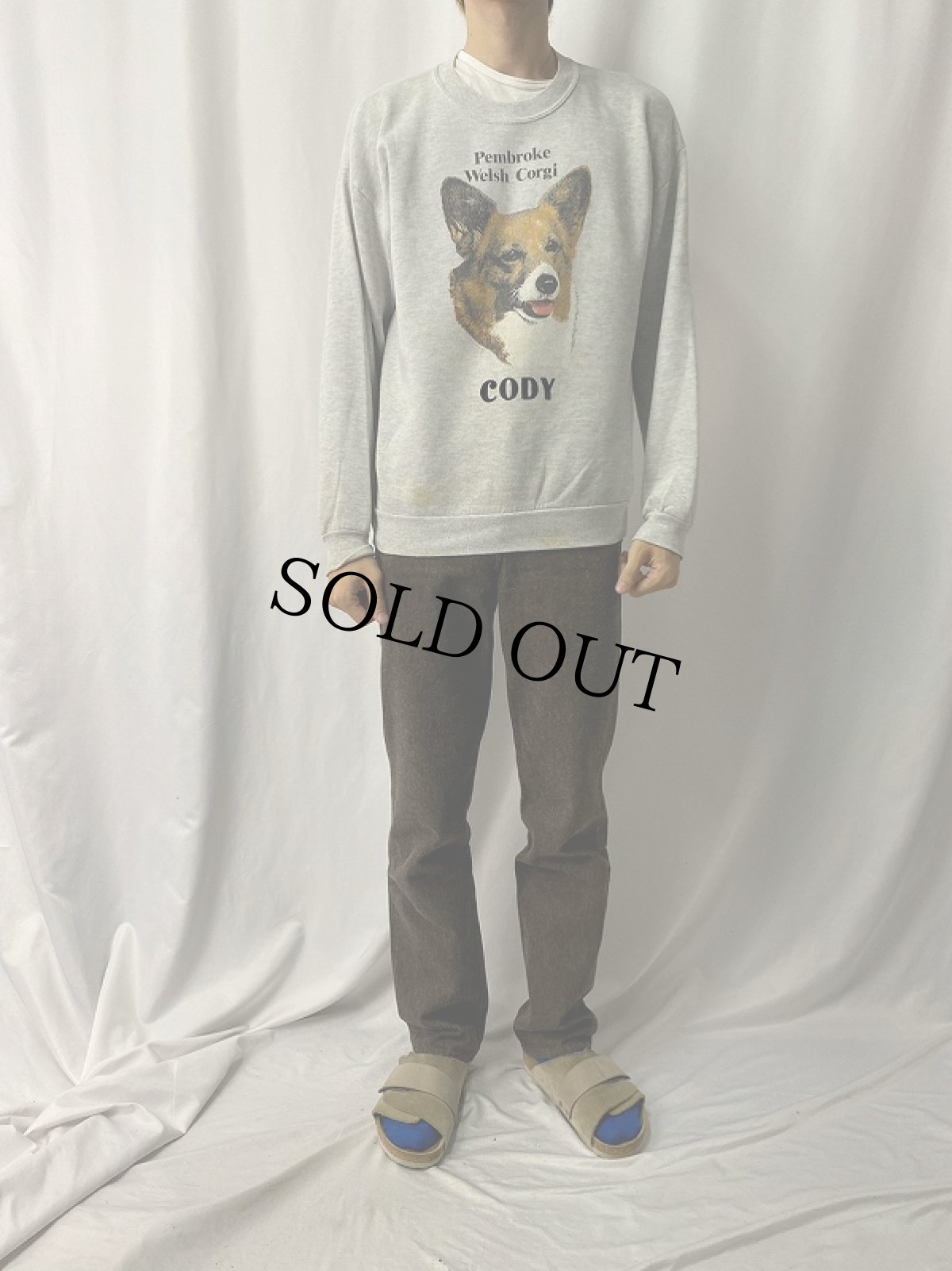 画像2: 90's USA製 "Pembroke Welsh Corgi" 犬プリントスウェット L (2)