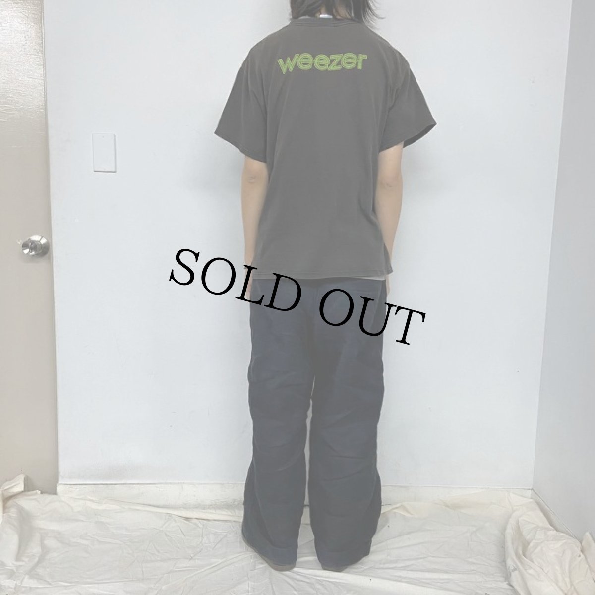 画像5: 2002 Weezer × カーミット USA製 ロックバンドTシャツ L (5)