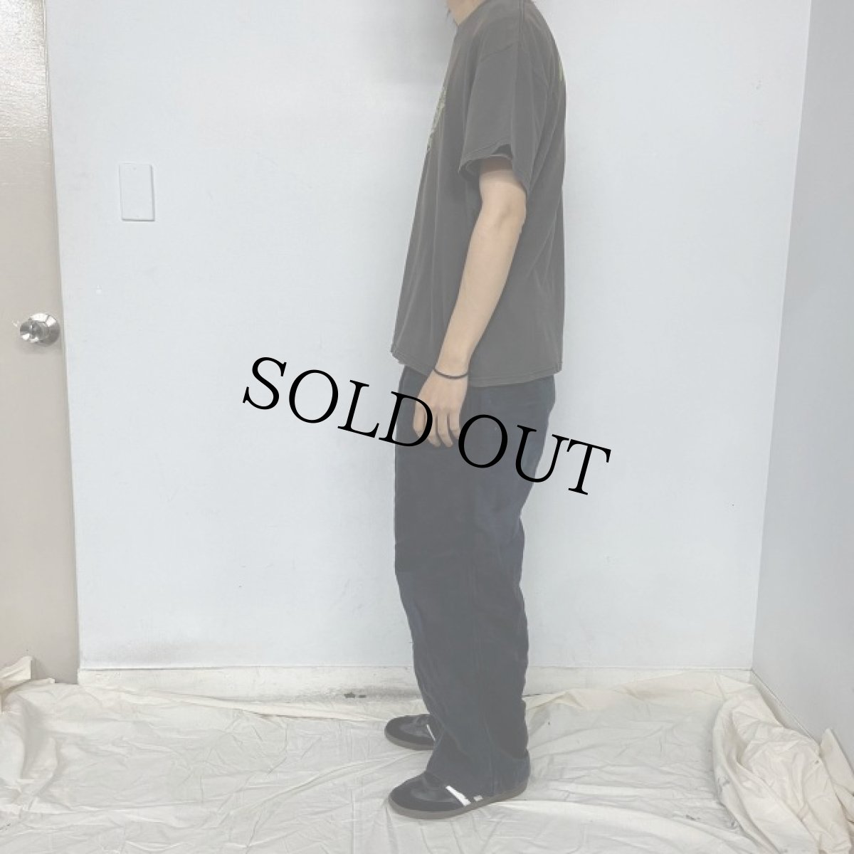 画像4: 2002 Weezer × カーミット USA製 ロックバンドTシャツ L (4)