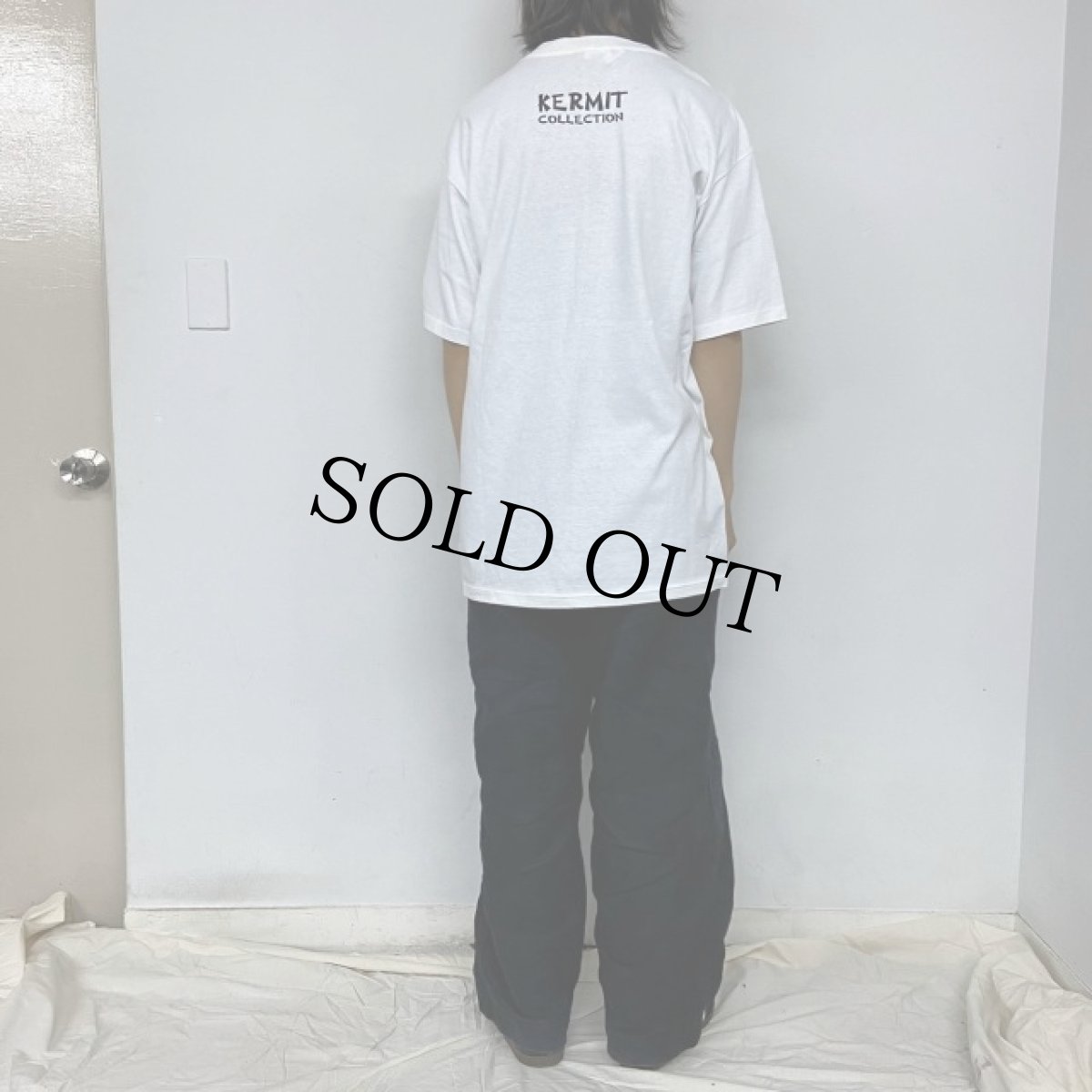 画像4: 90's USA製 カーミット 進化論パロディTシャツ XL (4)