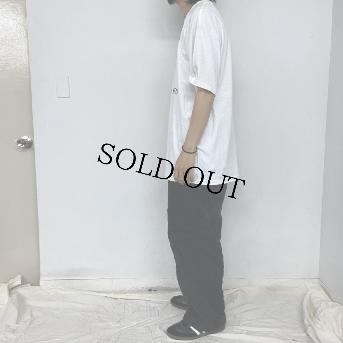 画像3: 90's USA製 カーミット 進化論パロディTシャツ XL (3)