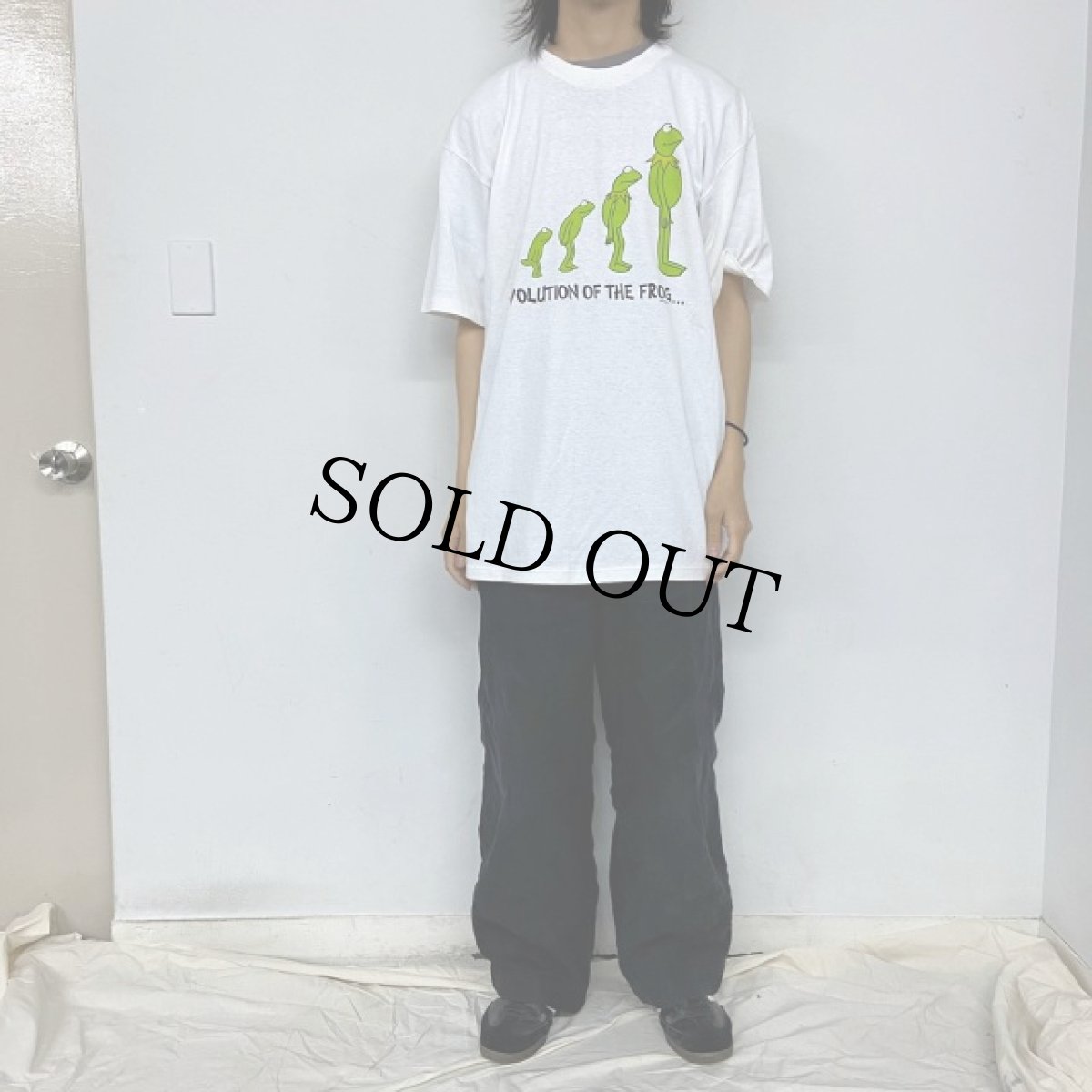 画像2: 90's USA製 カーミット 進化論パロディTシャツ XL (2)