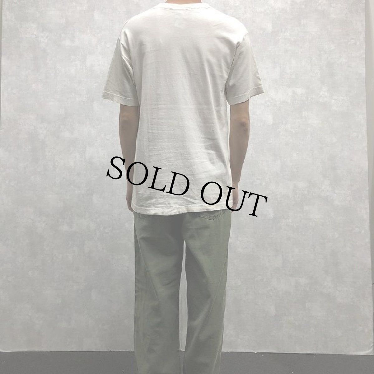 画像4: 90's MUD HONEY USA製 ロックバンドTシャツ L (4)