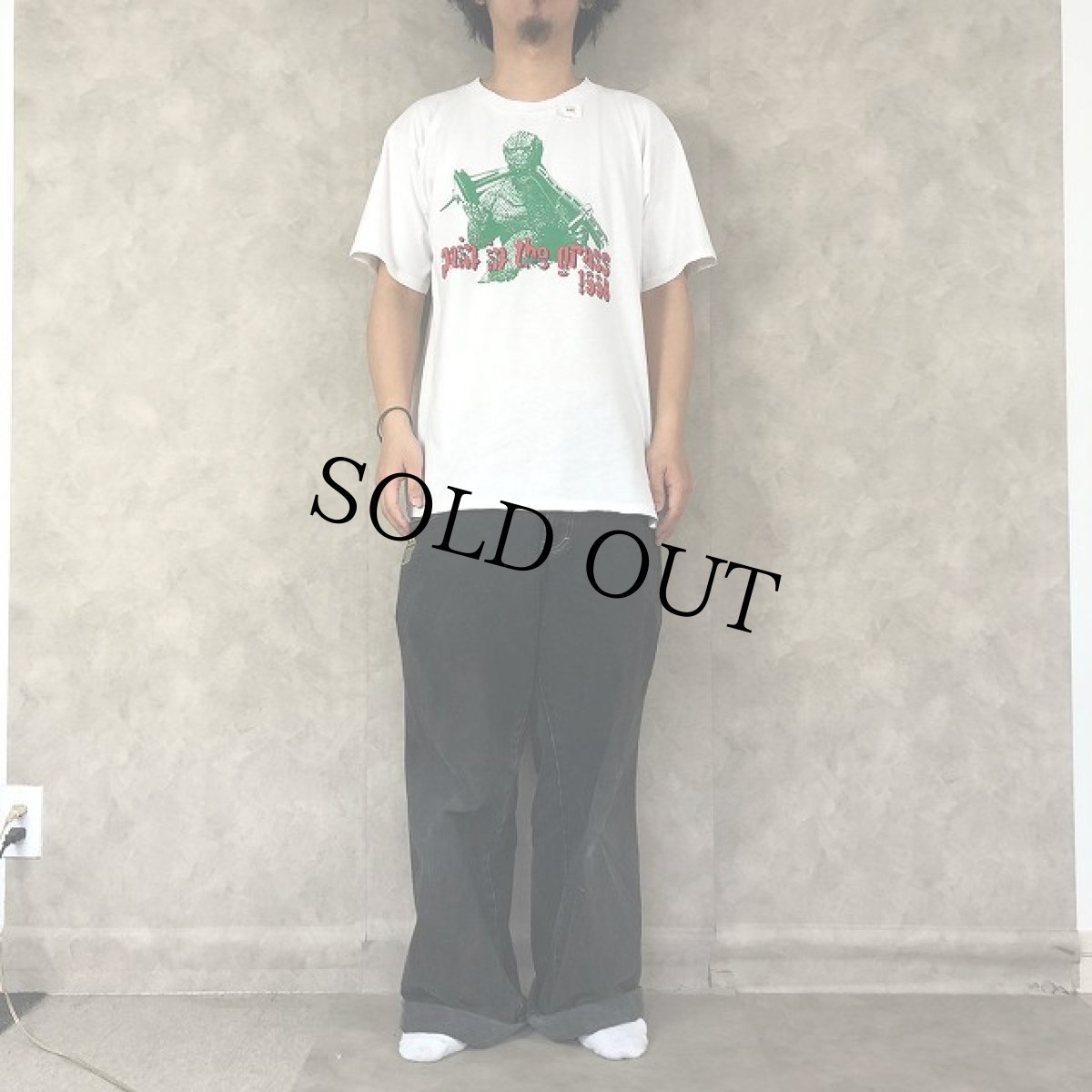 画像2: 90's Pain in the Grass 1996 ゴジラプリント フェスティバルTシャツ (2)