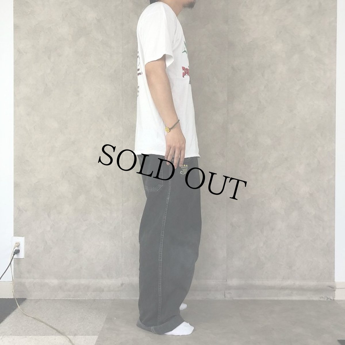 画像3: 90's Pain in the Grass 1996 ゴジラプリント フェスティバルTシャツ (3)