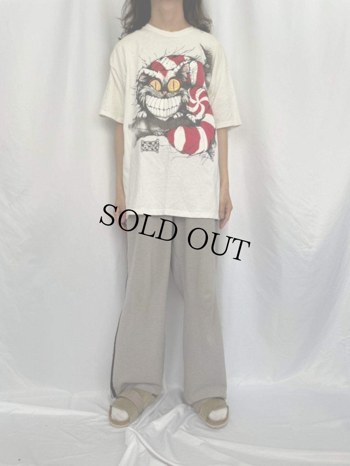 画像2: 90's Alice in Wonderland USA製 "Cheshire Cat" キャラクターイラストTシャツ XL (2)