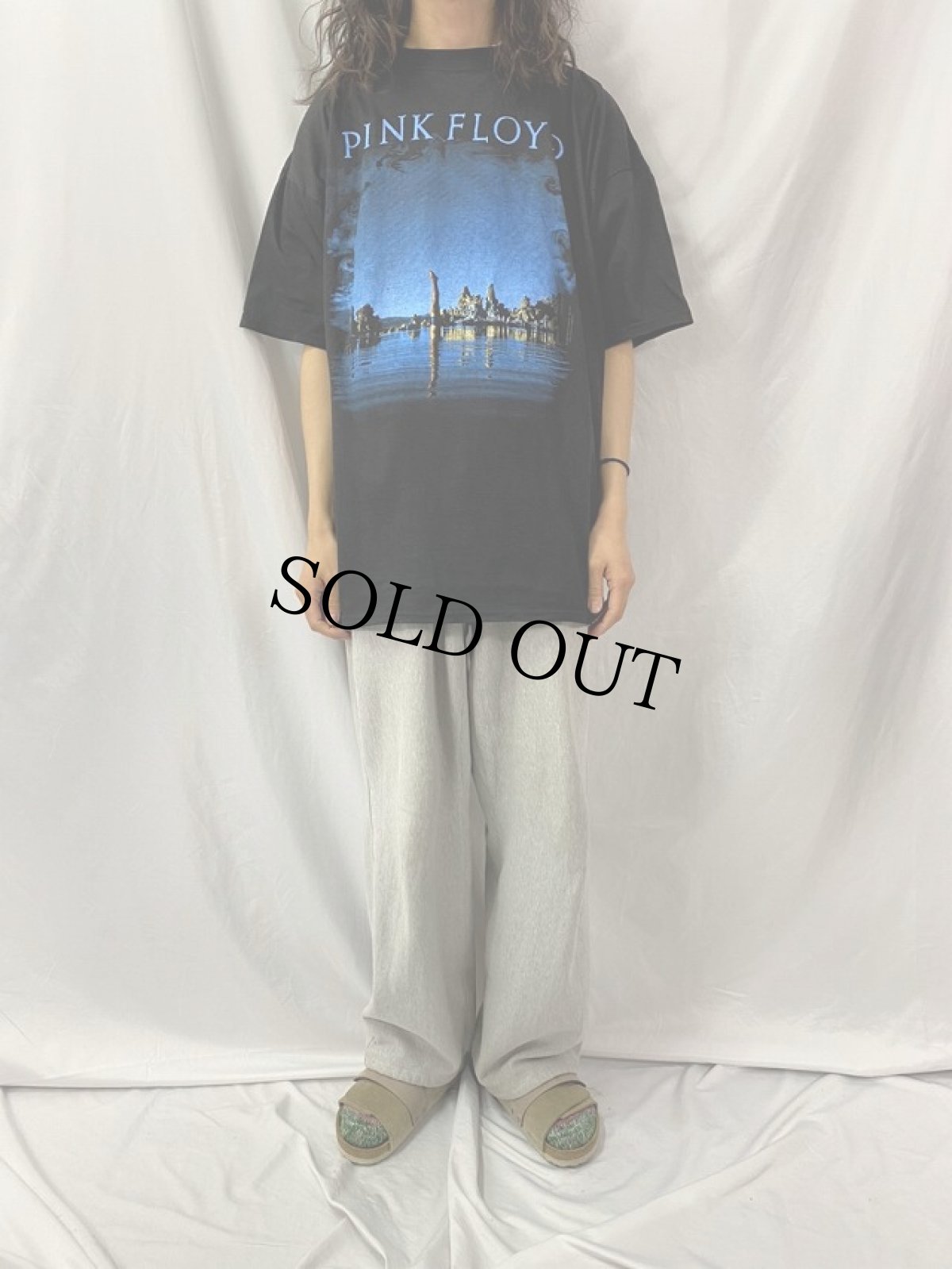 画像3: 90's PINK FLOYD "wish you were here" ロックバンドTシャツ (3)