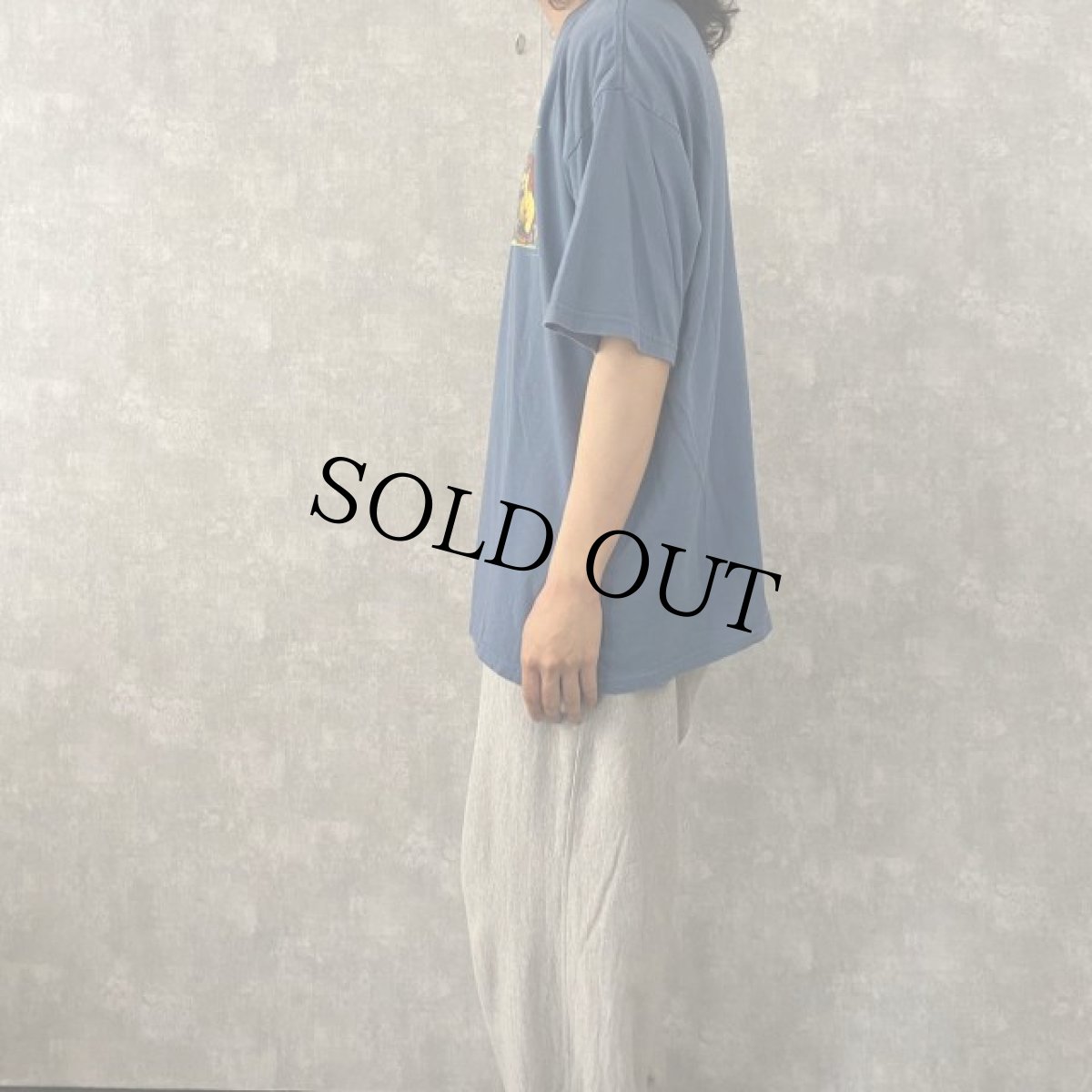 画像3: かいじゅうたちのいるところ 絵本プリントTシャツ XL (3)