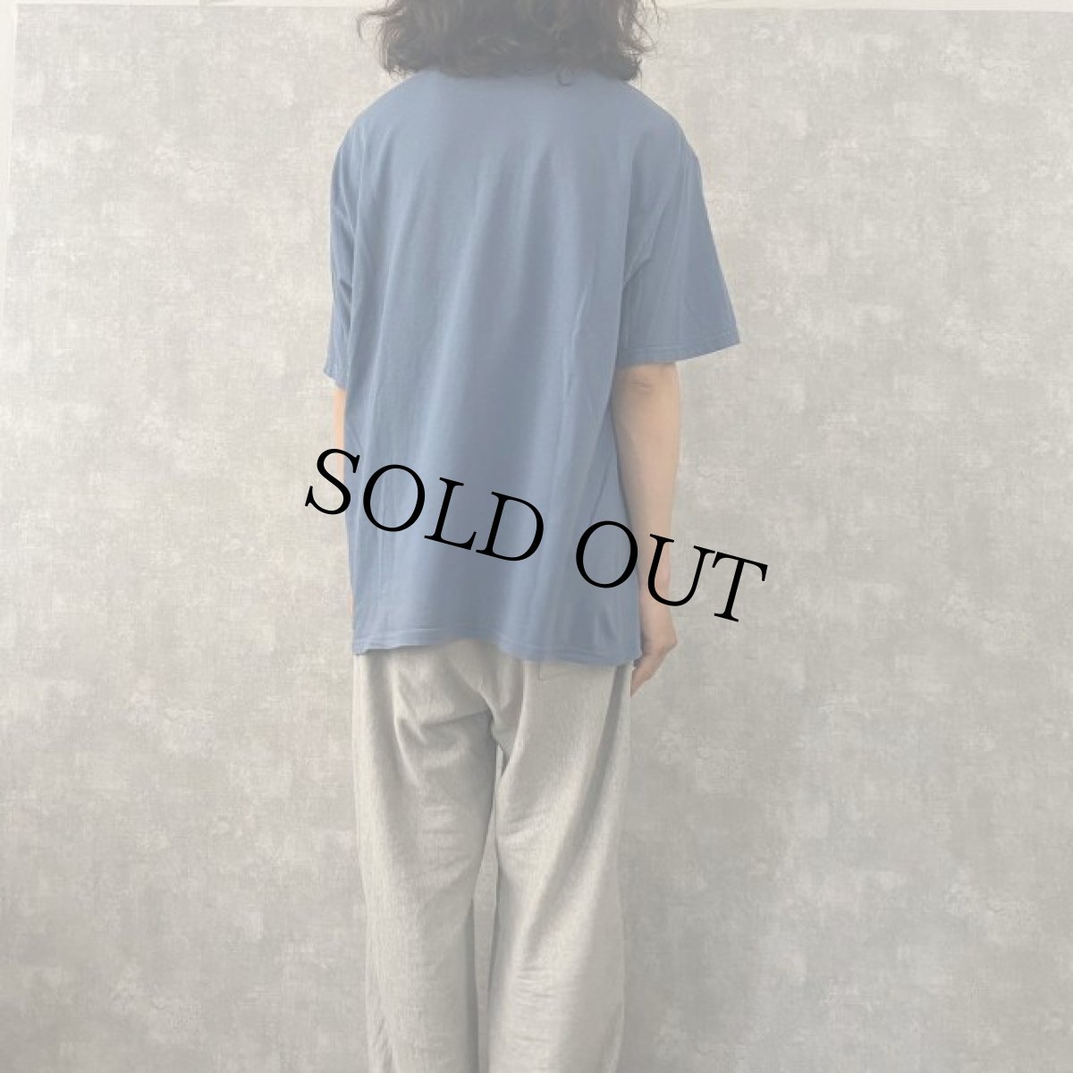 画像4: かいじゅうたちのいるところ 絵本プリントTシャツ XL (4)