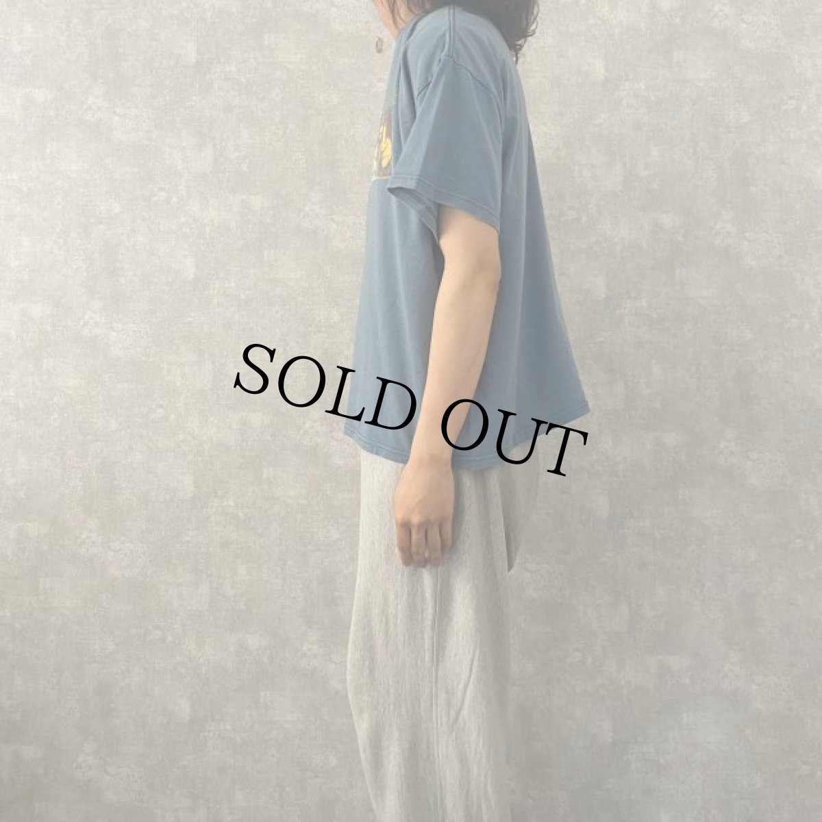 画像3: かいじゅうたちのいるところ 絵本プリントTシャツ (3)