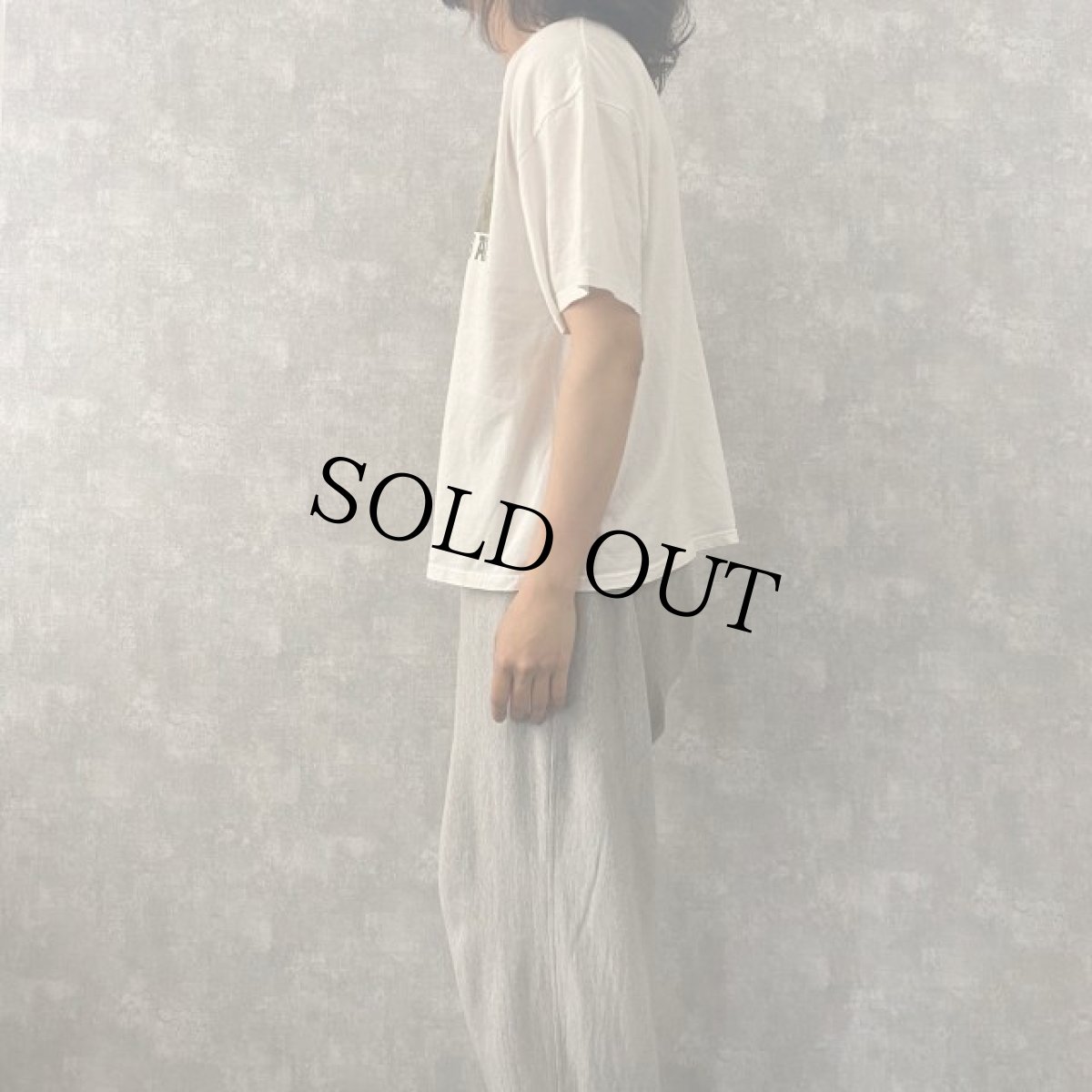 画像3: かいじゅうたちのいるところ 絵本プリントTシャツ XL (3)