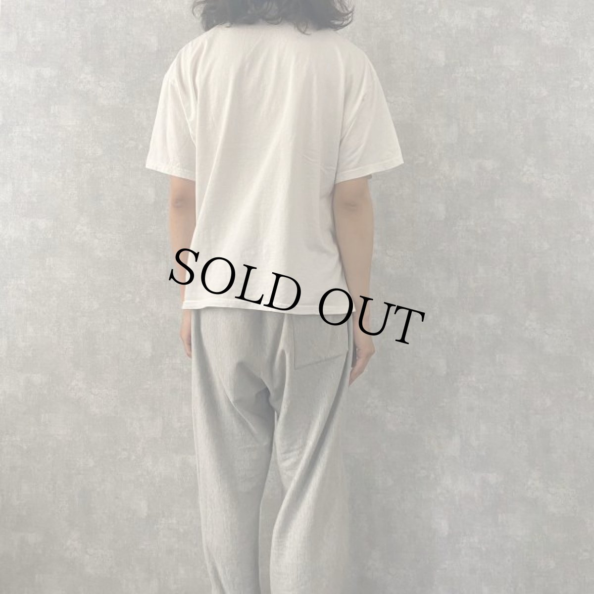 画像4: かいじゅうたちのいるところ 絵本プリントTシャツ XL (4)