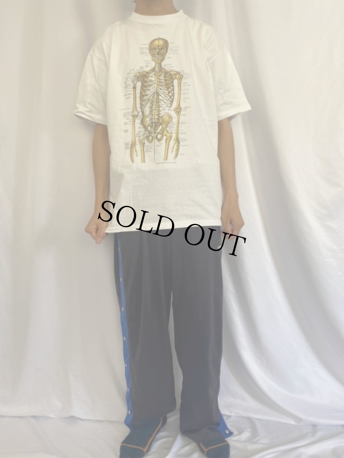 画像2: 90's Anatomical Chart Co. 骨格標本イラストTシャツ XL (2)