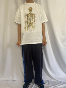 画像2: 90's Anatomical Chart Co. 骨格標本イラストTシャツ XL (2)