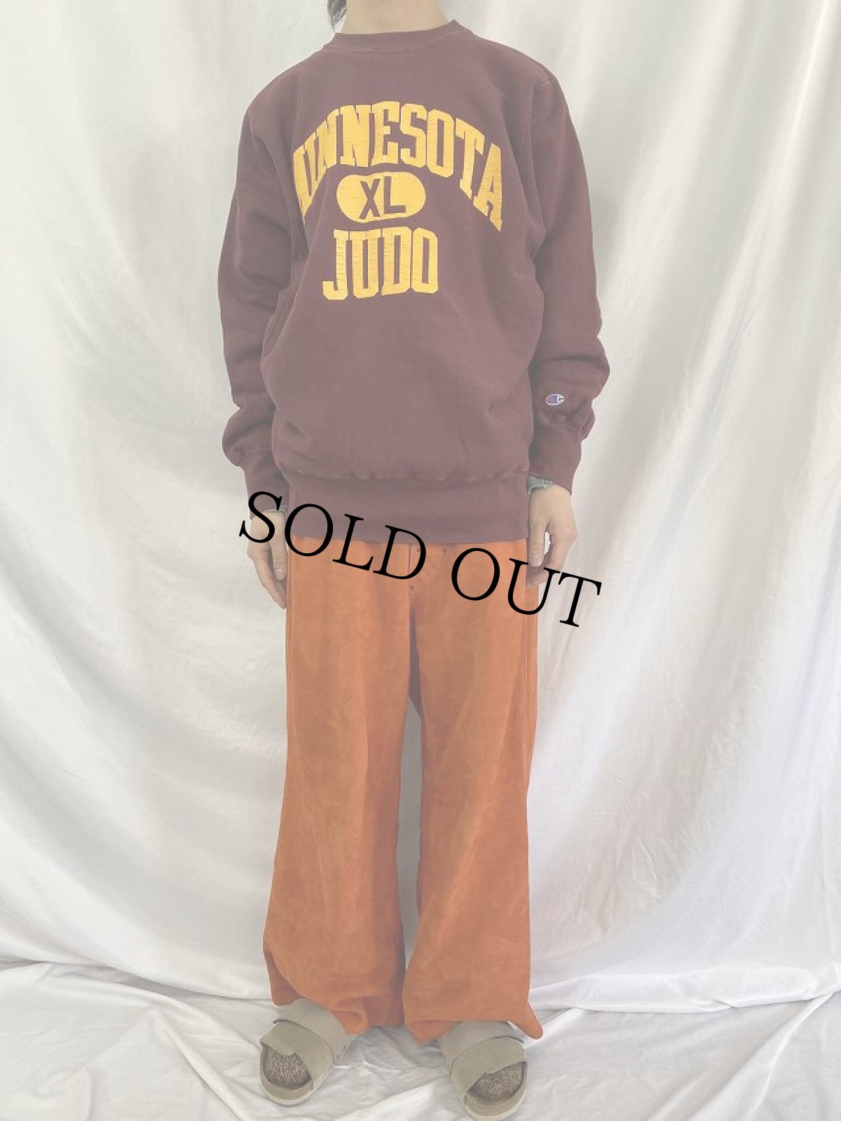 画像2: 80's Champion REVERSE WEAVE USA製 トリコタグ "MINESOTA JUDO" XL (2)
