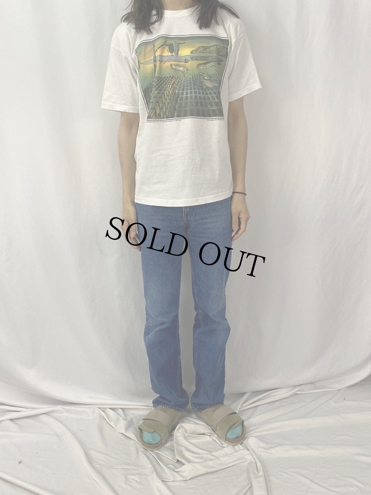 画像2: 2000's SALVADOR DALI "記憶の固執の崩壊" アートプリントTシャツ M (2)