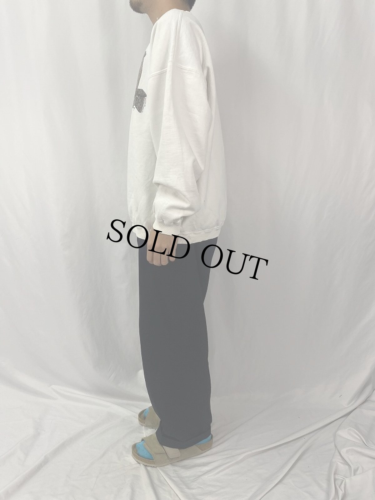 画像3: Edward Gorey "A book in my hand and dog by my side..." プリントスウェット  (3)