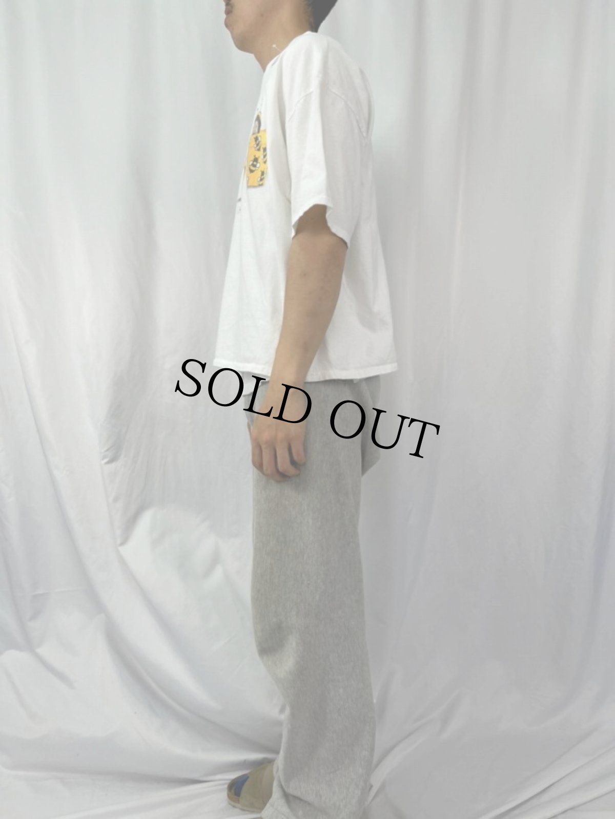 画像3: ANNE GEDDES 赤ちゃんフォトアートプリントTシャツ XL (3)