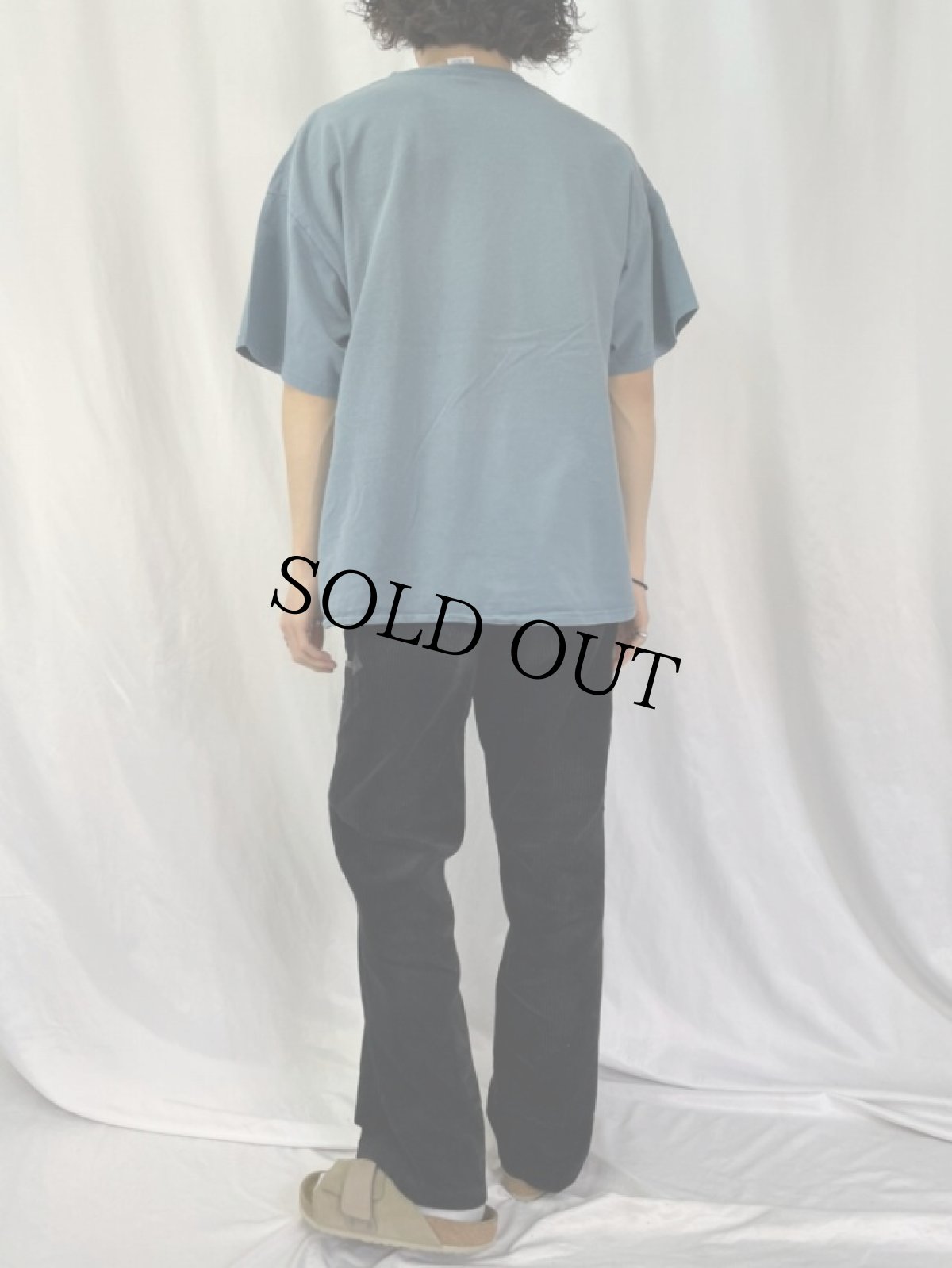 画像4: 90's かいじゅうたちのいるところ USA製 絵本プリントTシャツ XL (4)