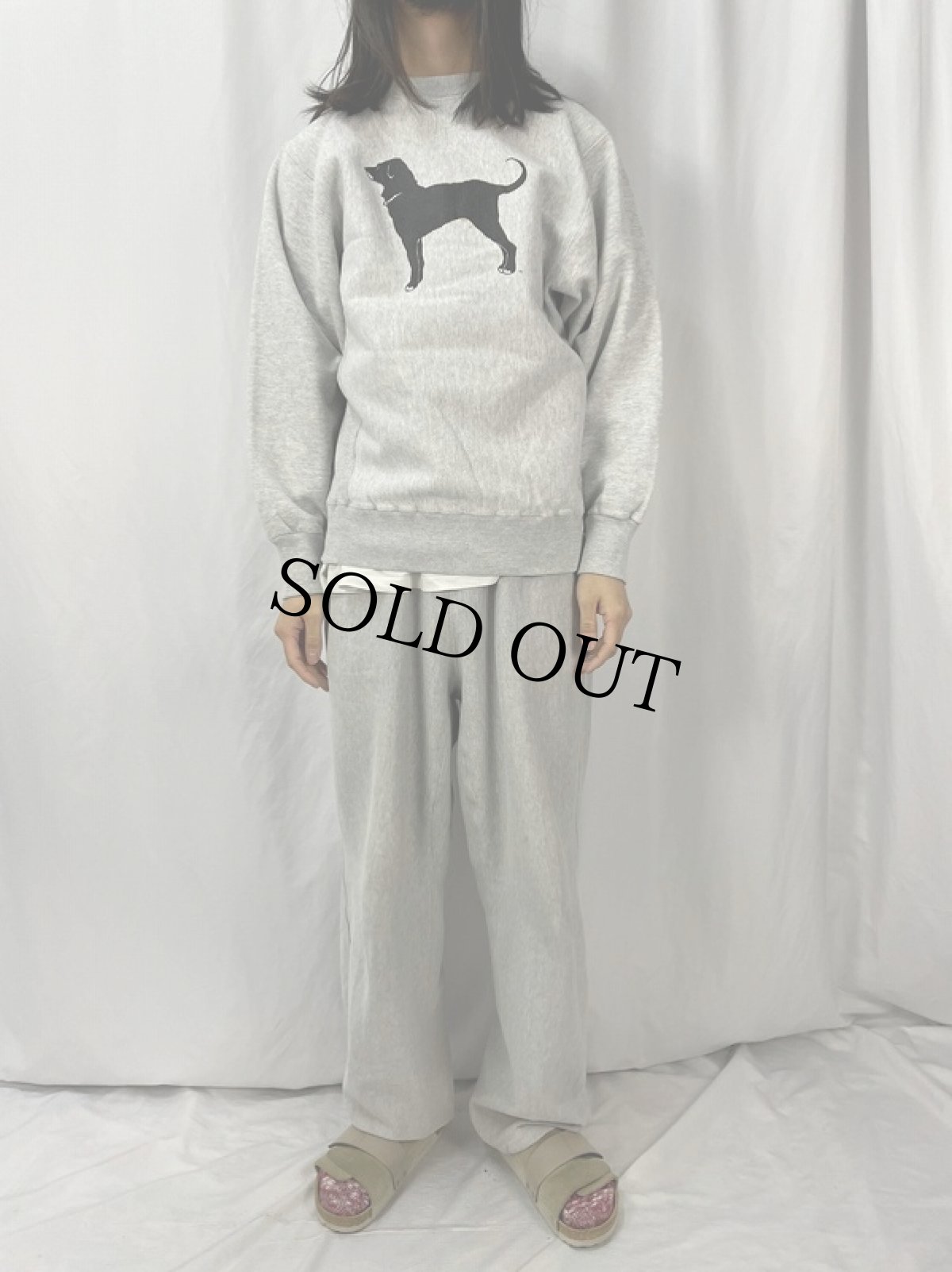 画像2: 90's USA製 The Black Dog 犬プリントスウェット M (2)