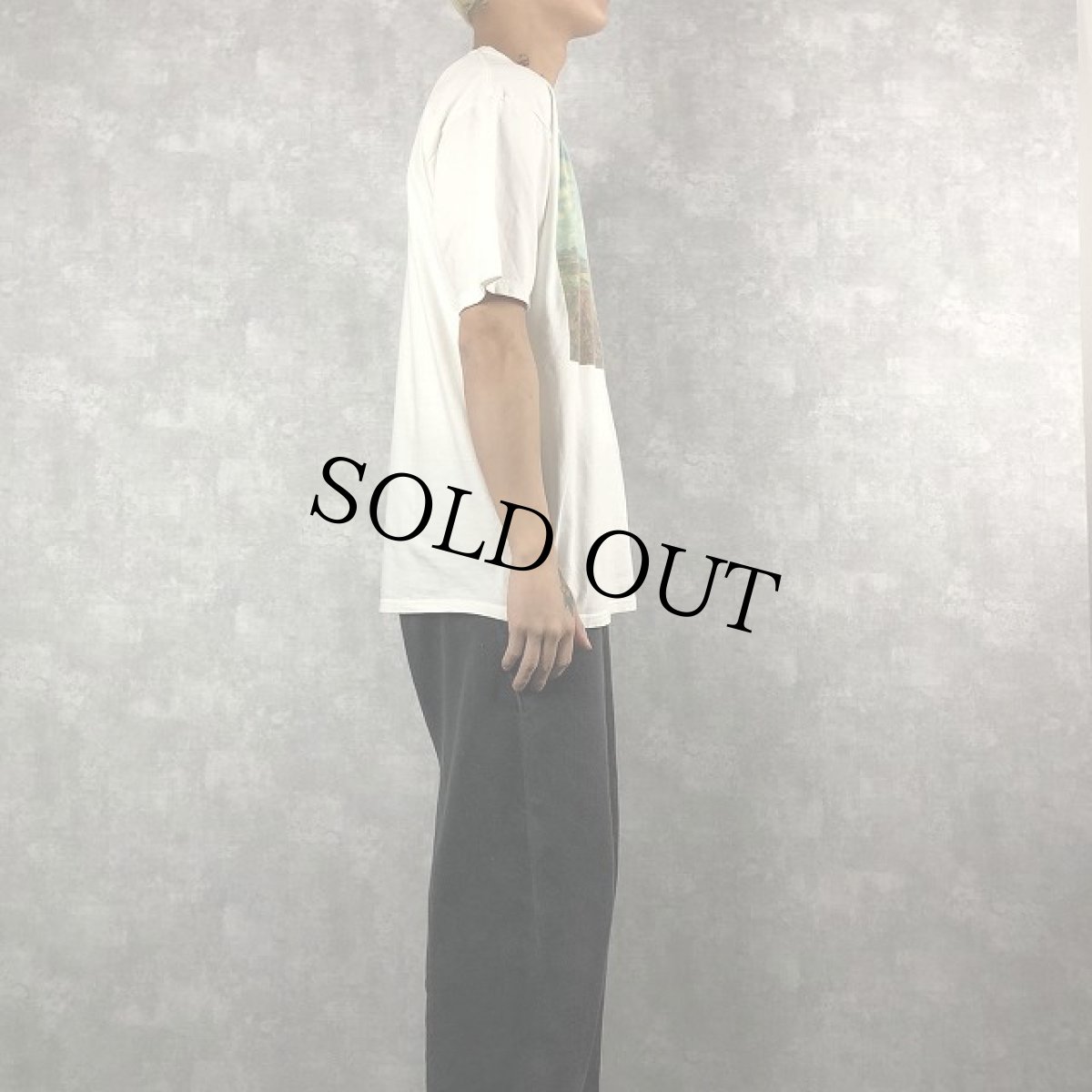 画像3: 90's〜 Claude Monet "Champs de tulipes en Hollande" アートTシャツ XL (3)